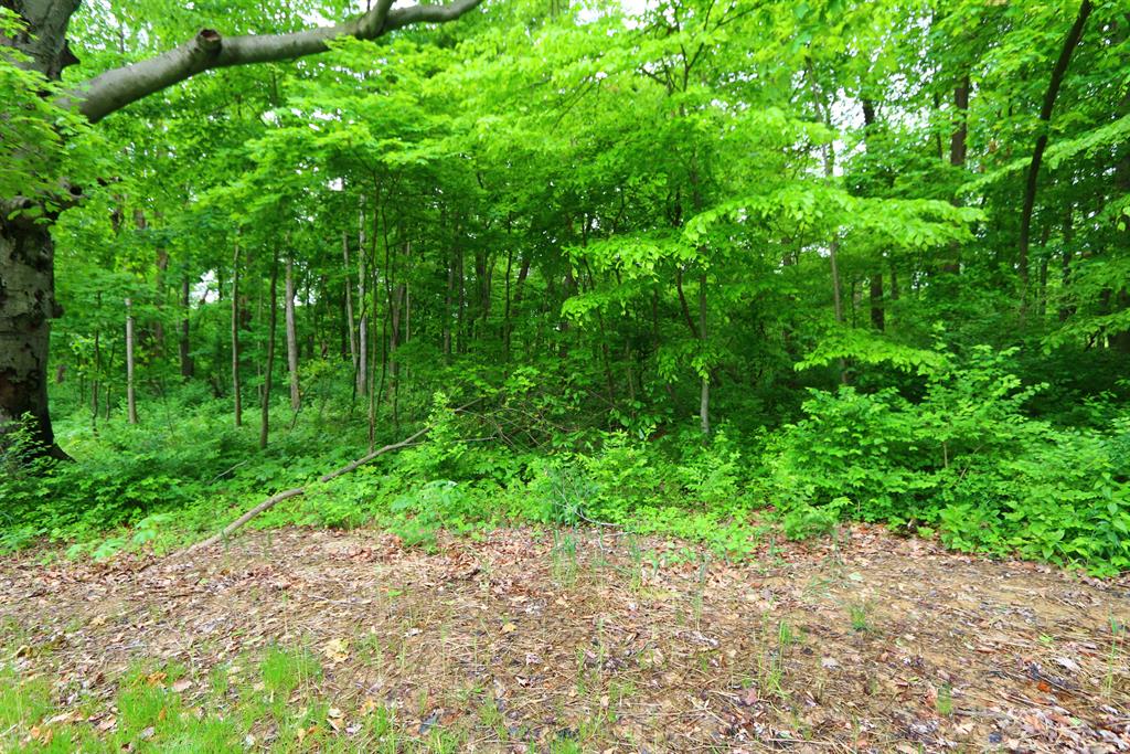 34 Lot Twin Fences Indian Hill, OH