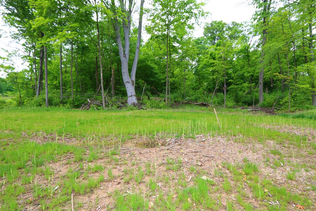 32 Lot Twin Fences Indian Hill, OH