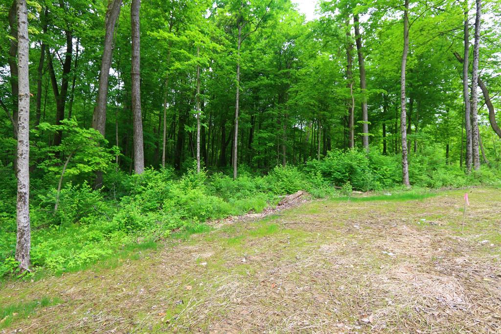 36 Lot Twin Fences Indian Hill, OH