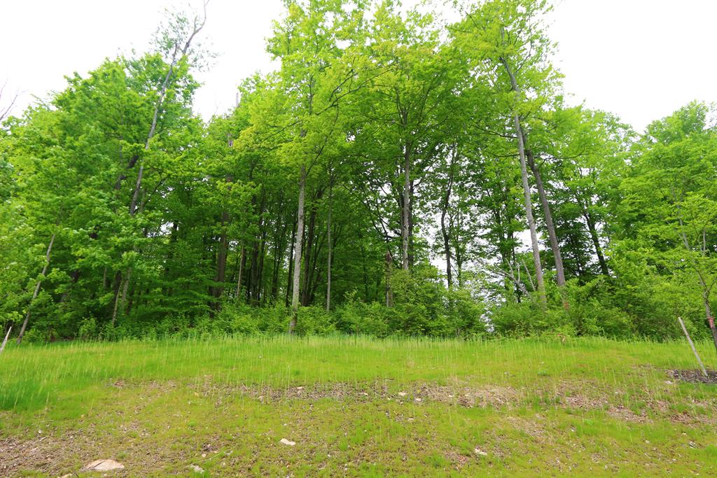 31 Lot Twin Fences Indian Hill, OH