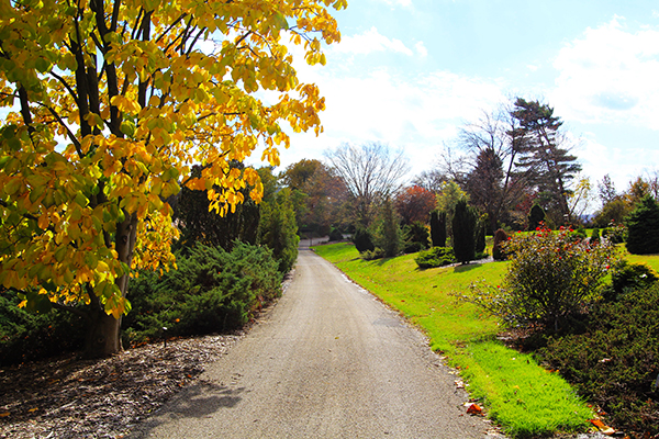 Rowe-Arboretum,-fall,-path,-outdoor