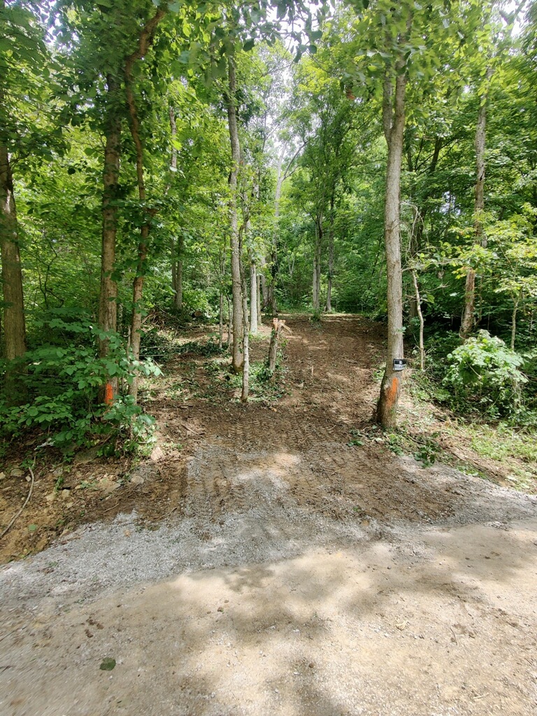 Holts Creek Road Foster, KY