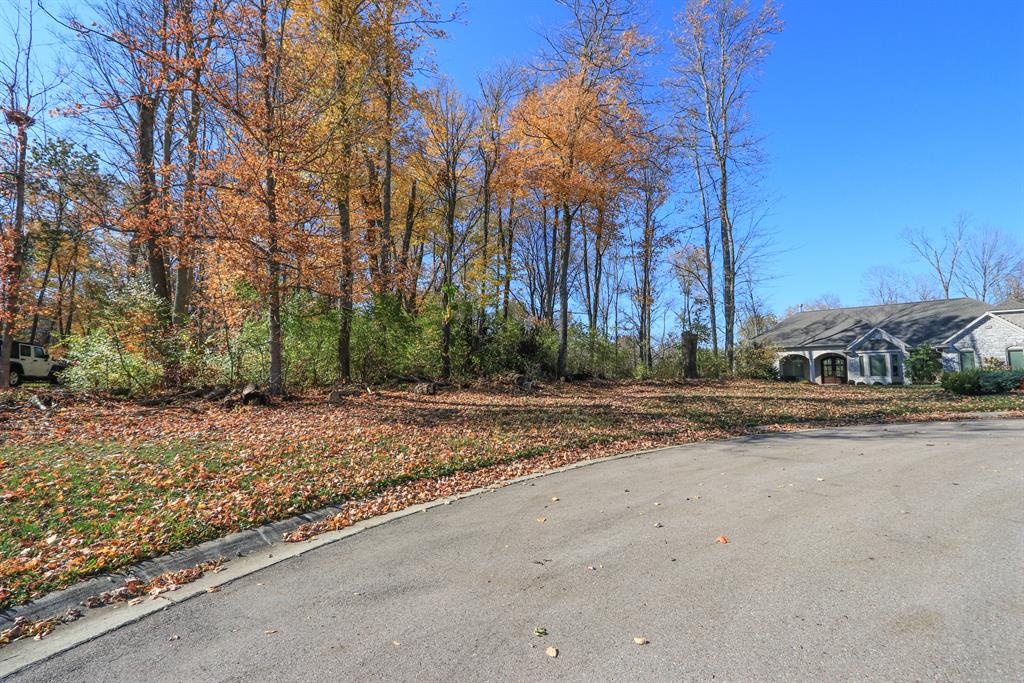Meadowview Ln #98