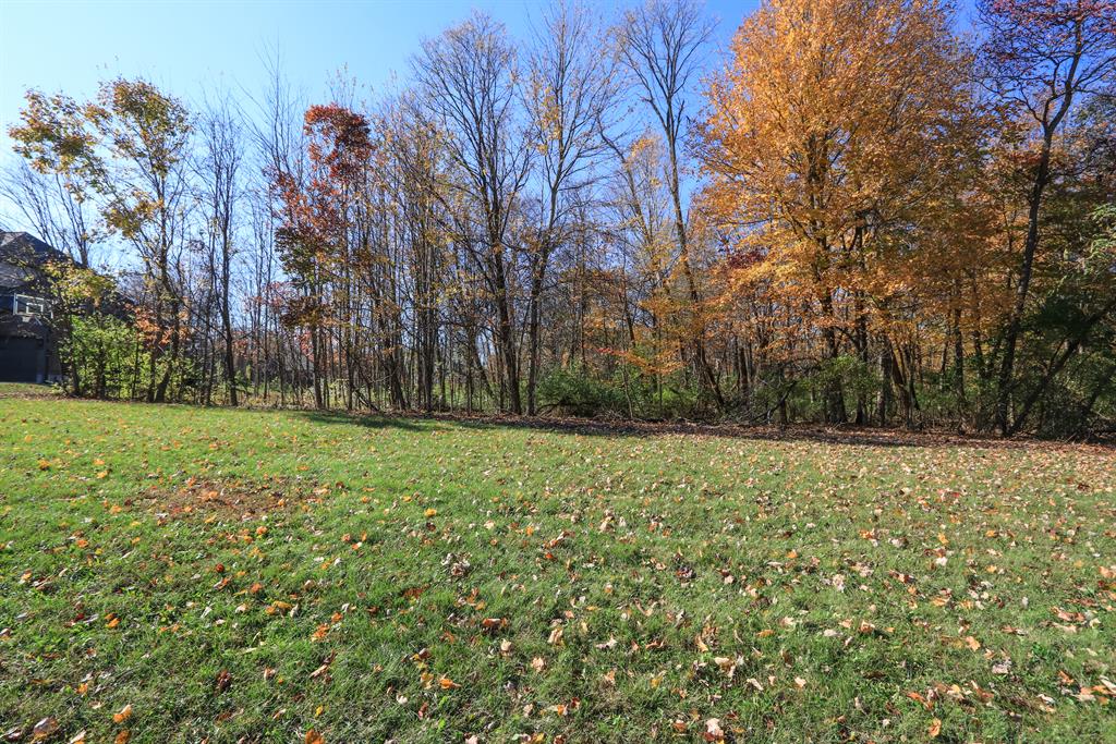 Meadowview Ln #95