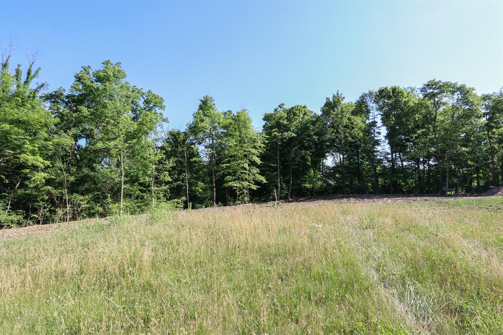 101 Lot Buena Vista Dr South Lebanon, OH