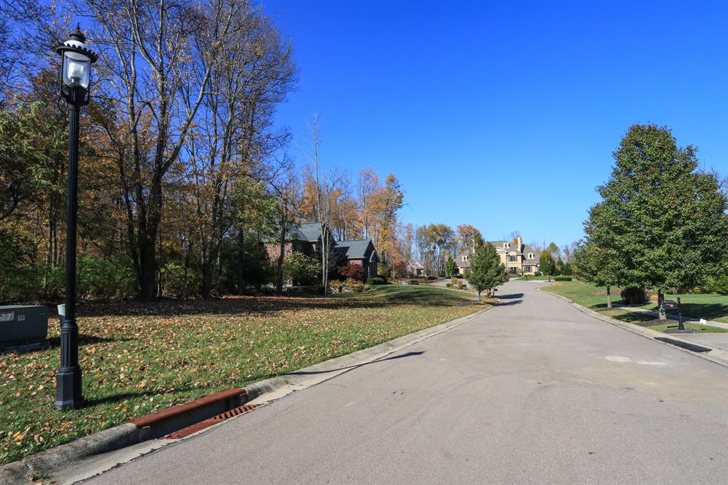 0 Meadowview Ln #96