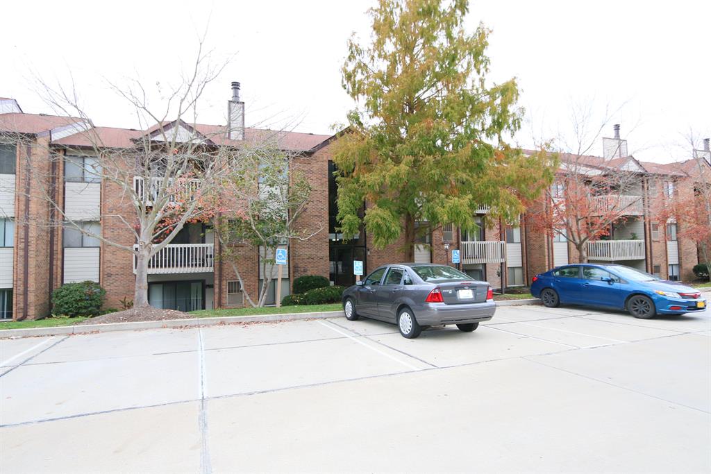 62 View Terrace Dr, 8