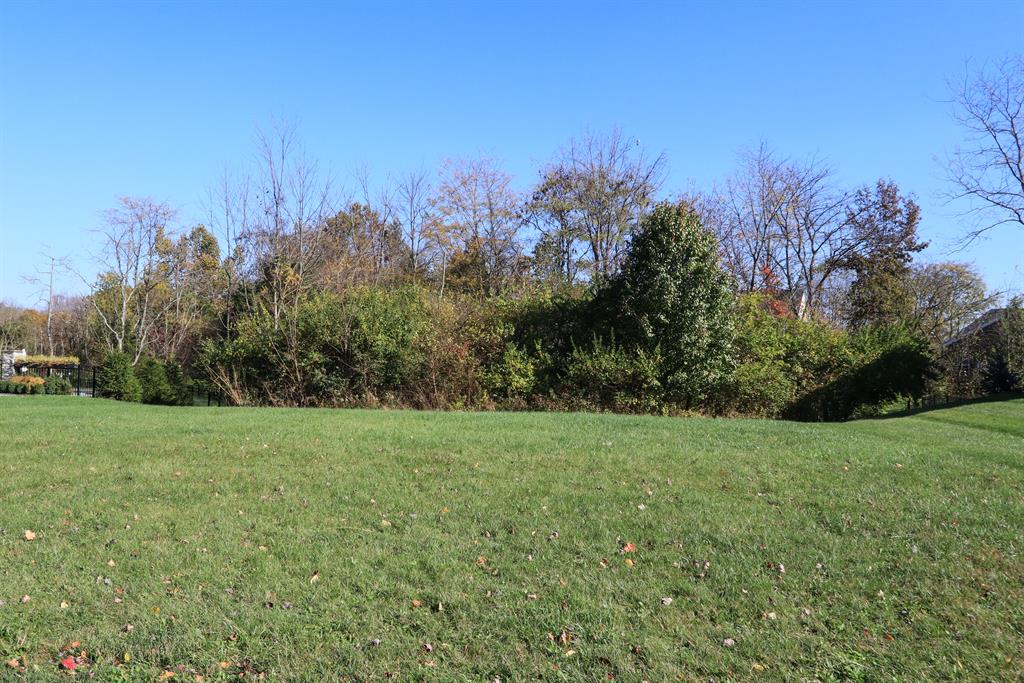 0 Meadowview Lane 115