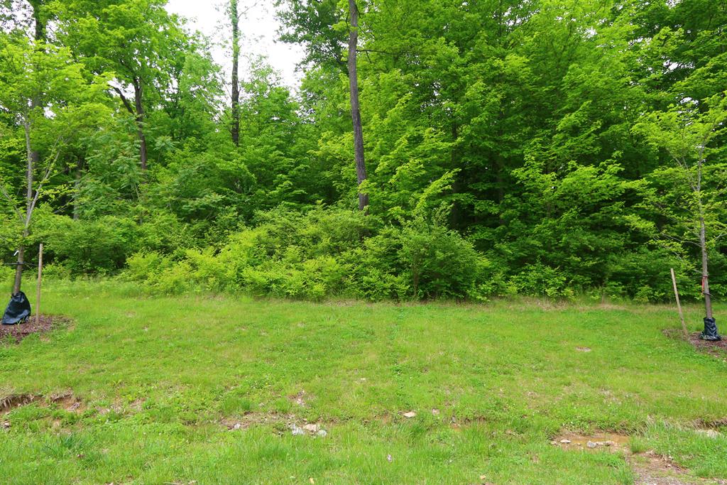 25 Lot Twin Fences