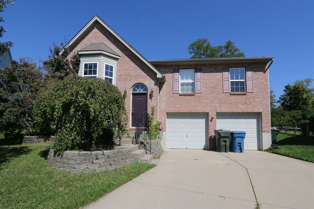 3330 Cedar Tree