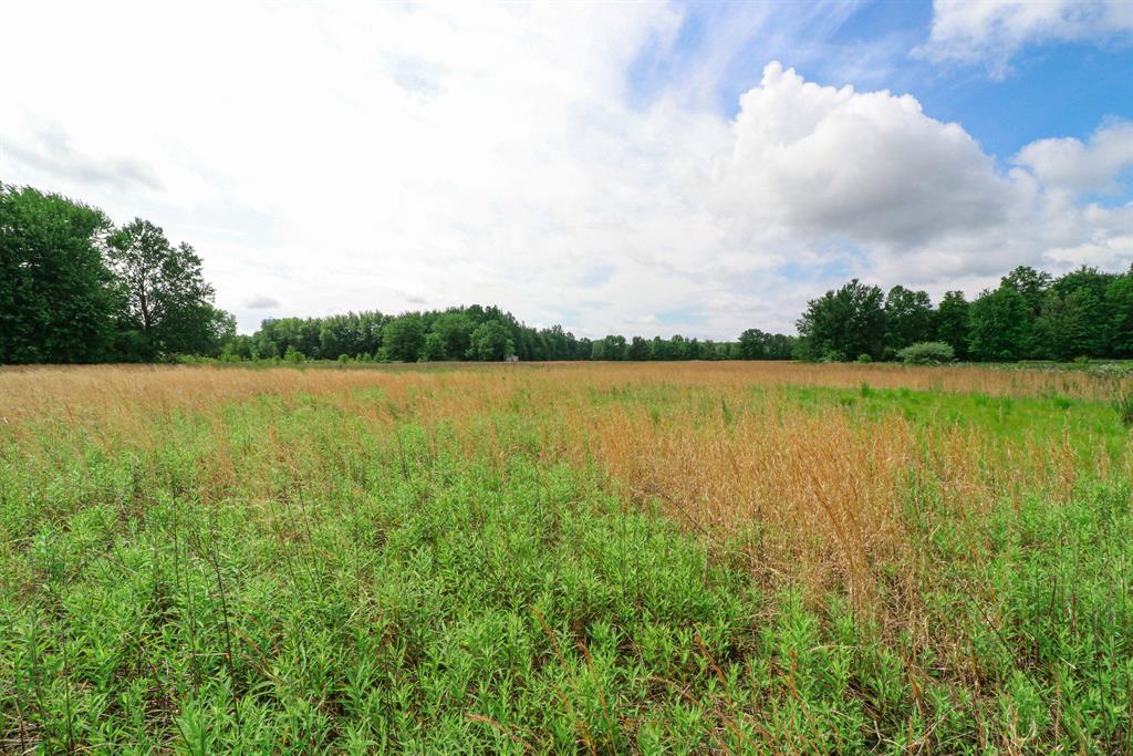 2741 15.60 ac St Rt 131