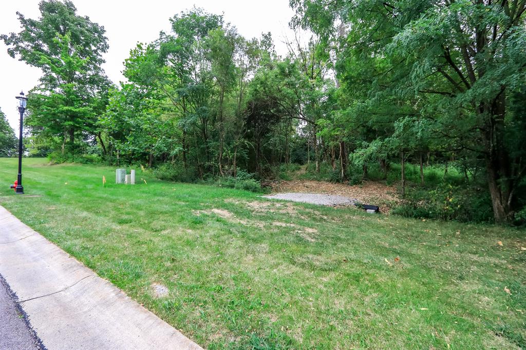 0 Buena Vista Drive 85