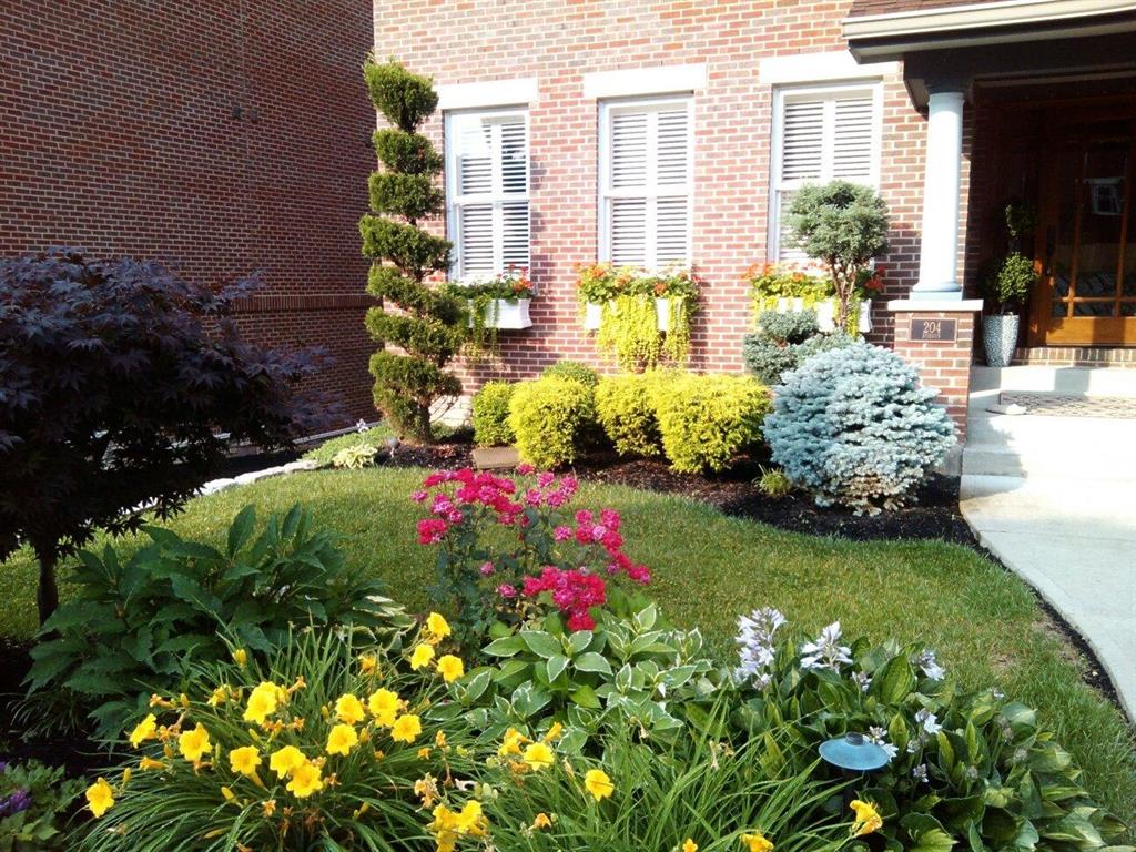 Cheerful Yard for 204 Robson Ln Bellevue, KY 41073