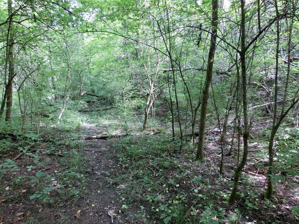 0 5.1 ac Cook Rd Miami Twp. (East), OH