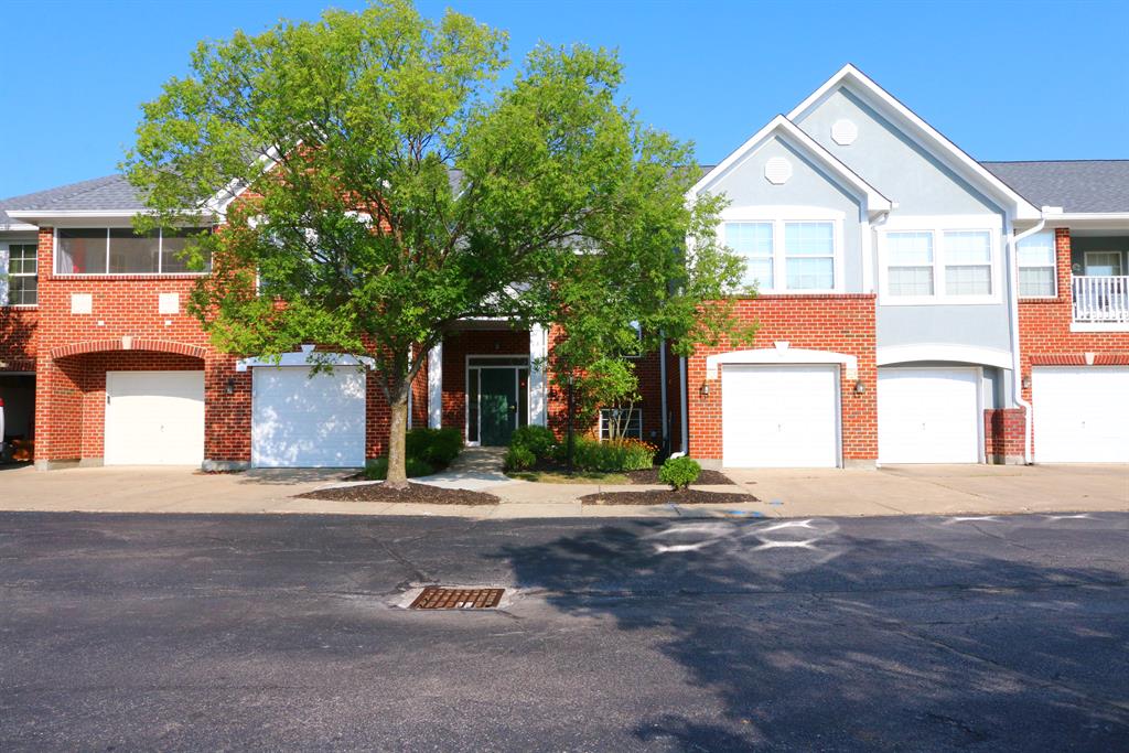 359 Deepwoods