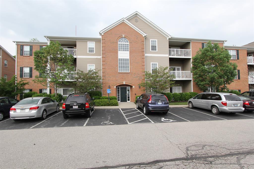 545 Ivy Ridge Dr