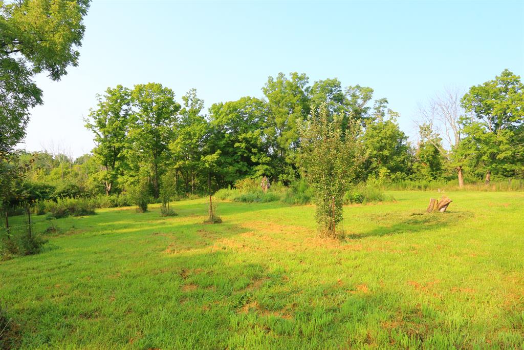 9785 Playtime Ln Springfield Twp., OH