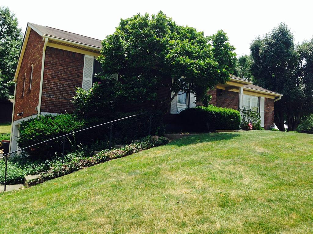 14 Honey Tree Ln