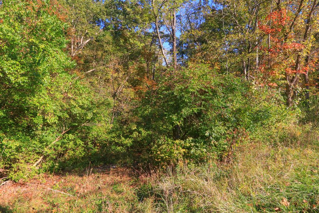 313 Sugar Camp Rd Miami Twp. (East), OH